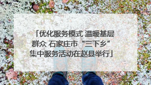 优化服务模式 温暖基层群众 石家庄市“三下乡”集中服务活动在赵县举行