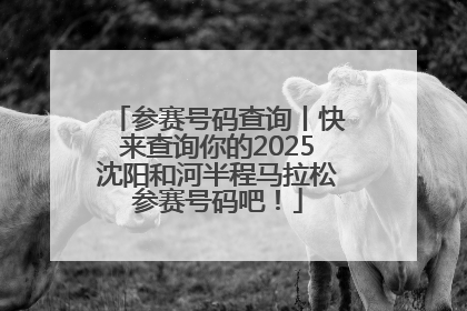 参赛号码查询丨快来查询你的2025沈阳和河半程马拉松参赛号码吧！
