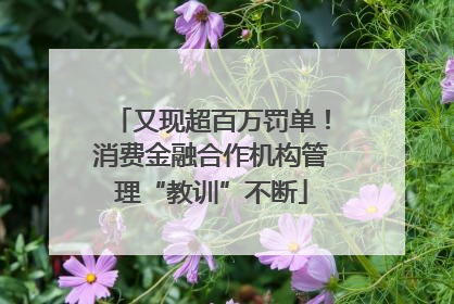 又现超百万罚单！消费金融合作机构管理“教训”不断