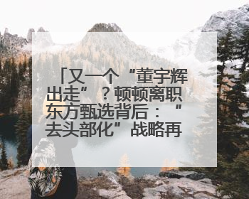 又一个“董宇辉出走”？顿顿离职东方甄选背后：“去头部化”战略再遭考验