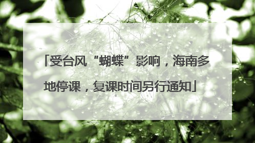 受台风“蝴蝶”影响，海南多地停课，复课时间另行通知