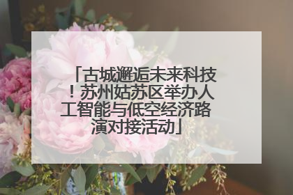 古城邂逅未来科技！苏州姑苏区举办人工智能与低空经济路演对接活动
