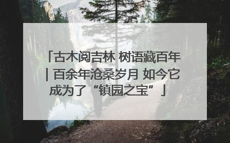 古木阅吉林 树语藏百年｜百余年沧桑岁月 如今它成为了“镇园之宝”