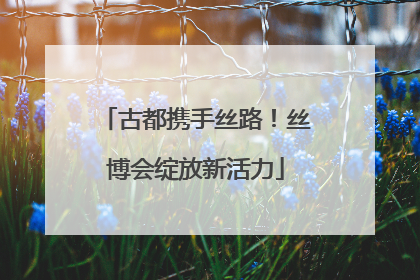 古都携手丝路！丝博会绽放新活力