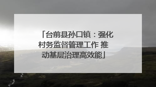 台前县孙口镇：强化村务监督管理工作 推动基层治理高效能