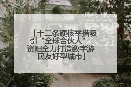 十二条硬核举措吸引“全球合伙人” 资阳全力打造数字游民友好型城市