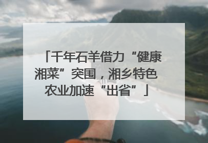 千年石羊借力“健康湘菜”突围，湘乡特色农业加速“出省”