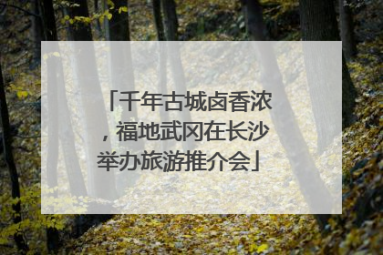 千年古城卤香浓，福地武冈在长沙举办旅游推介会