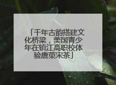 千年古韵搭建文化桥梁，美国青少年在镇江高职校体验唐菓宋茶