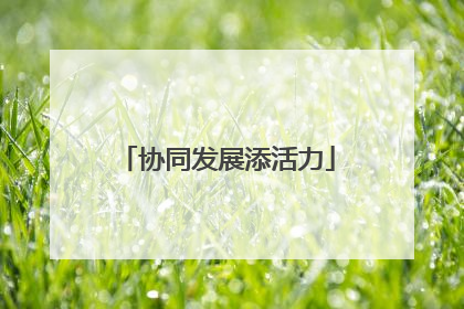 协同发展添活力