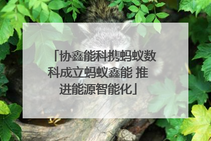 协鑫能科携蚂蚁数科成立蚂蚁鑫能 推进能源智能化