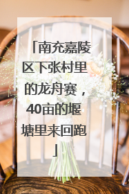 南充嘉陵区下张村里的龙舟赛，40亩的堰塘里来回跑