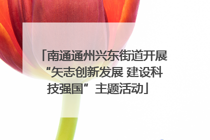 南通通州兴东街道开展“矢志创新发展 建设科技强国”主题活动