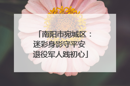 南阳市宛城区：迷彩身影守平安 退役军人践初心