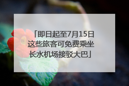 即日起至7月15日 这些旅客可免费乘坐长水机场接驳大巴