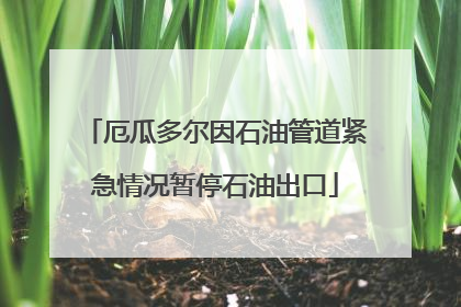 厄瓜多尔因石油管道紧急情况暂停石油出口