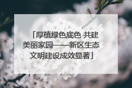 厚植绿色底色 共建美丽家园——新区生态文明建设成效显著