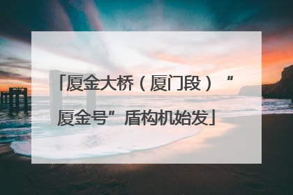 厦金大桥（厦门段）“厦金号”盾构机始发