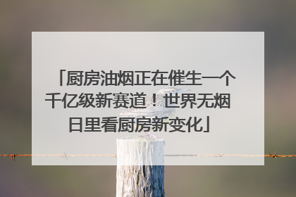 厨房油烟正在催生一个千亿级新赛道！世界无烟日里看厨房新变化