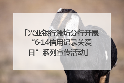兴业银行潍坊分行开展“6·14信用记录关爱日”系列宣传活动