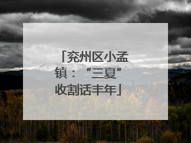 兖州区小孟镇：“三夏”收割话丰年
