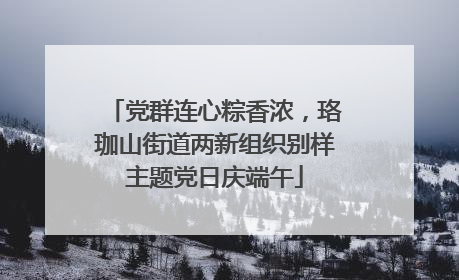 党群连心粽香浓，珞珈山街道两新组织别样主题党日庆端午