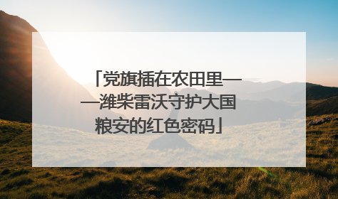 党旗插在农田里——潍柴雷沃守护大国粮安的红色密码