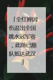 全红婵因伤退出全国跳水冠军赛，此前已随队抵达武汉