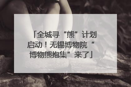 全城寻“熊”计划启动！无锡博物院“博物熊抱集”来了