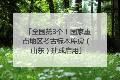全国第3个！国家重点地区考古标本库房（山东）建成启用