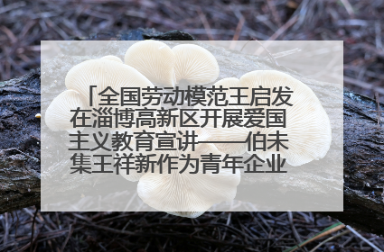 全国劳动模范王启发在淄博高新区开展爱国主义教育宣讲——伯未集王祥新作为青年企业家代表作主题演讲