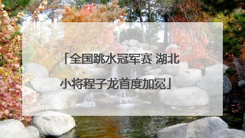 全国跳水冠军赛 湖北小将程子龙首度加冕