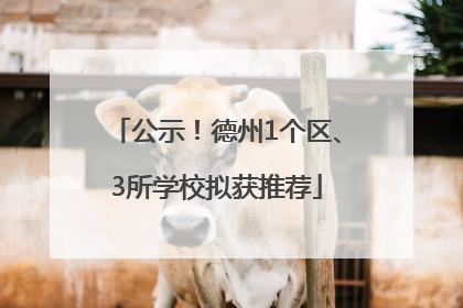 公示！德州1个区、3所学校拟获推荐