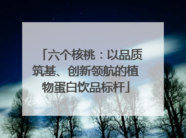六个核桃：以品质筑基、创新领航的植物蛋白饮品标杆