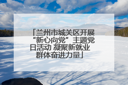 兰州市城关区开展“新心向党”主题党日活动 凝聚新就业群体奋进力量