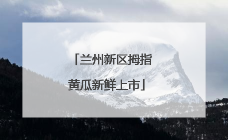 兰州新区拇指黄瓜新鲜上市