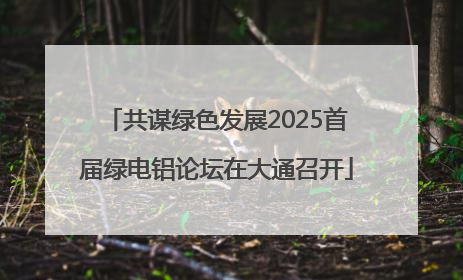 共谋绿色发展2025首届绿电铝论坛在大通召开