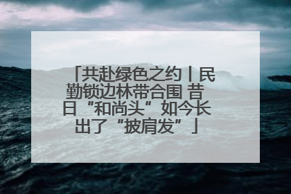 共赴绿色之约丨民勤锁边林带合围 昔日“和尚头”如今长出了“披肩发”
