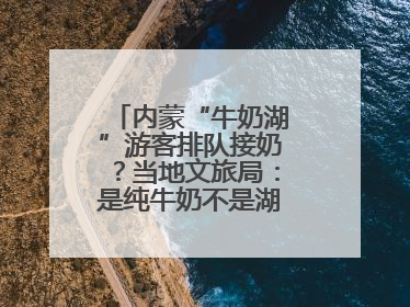 内蒙“牛奶湖”游客排队接奶？当地文旅局：是纯牛奶不是湖水，可放心喝
