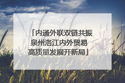 内通外联双链共振 泉州洛江内外贸易高质量发展开新局