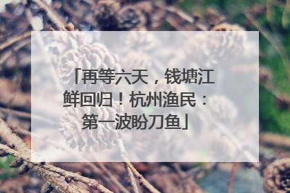 再等六天，钱塘江鲜回归！杭州渔民：第一波盼刀鱼