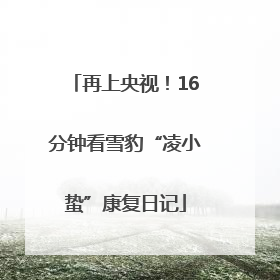 再上央视！16分钟看雪豹“凌小蛰”康复日记