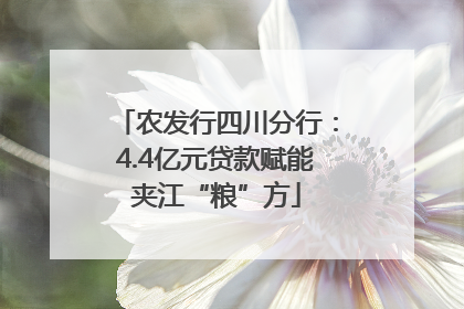 农发行四川分行：4.4亿元贷款赋能夹江“粮”方