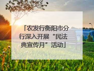 农发行衡阳市分行深入开展“民法典宣传月”活动