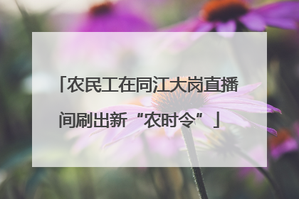 农民工在同江大岗直播间刷出新“农时令”