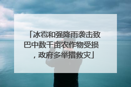 冰雹和强降雨袭击致巴中数千亩农作物受损，政府多举措救灾