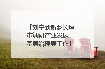 刘宁到新乡长垣市调研产业发展、基层治理等工作