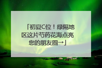初夏C位！绿隔地区这片芍药花海点亮您的朋友圈→