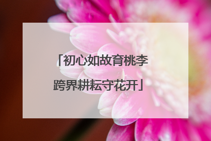 初心如故育桃李 跨界耕耘守花开