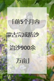 前5个月内蒙古完成防沙治沙900余万亩